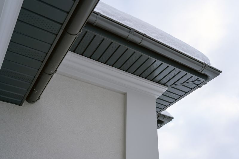 Garage Fascia Replacement in Conroe, TX